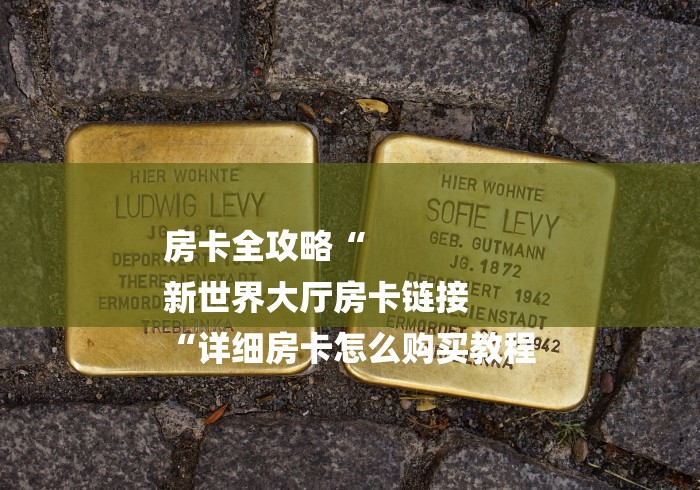 房卡全攻略“
新世界大厅房卡链接
“详细房卡怎么购买教程