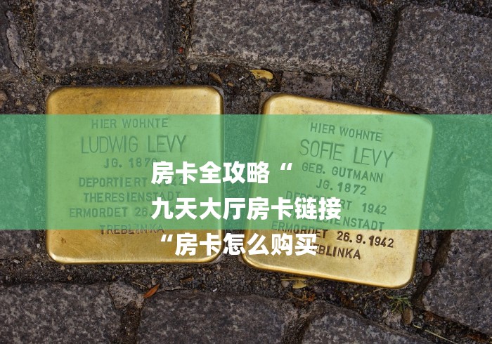 房卡全攻略“
九天大厅房卡链接
“房卡怎么购买