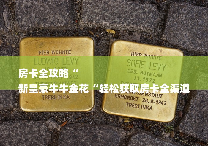 房卡全攻略“
新皇豪牛牛金花“轻松获取房卡全渠道