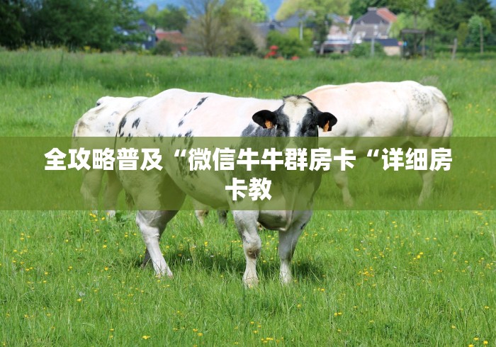 全攻略普及“微信牛牛群房卡“详细房卡教