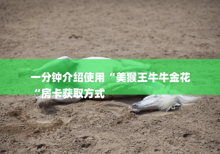 一分钟介绍使用“美猴王牛牛金花
“房卡获取方式