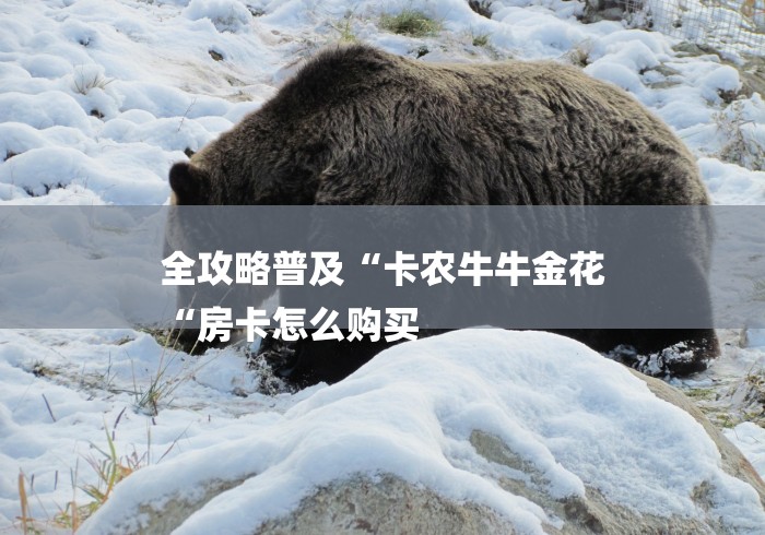 全攻略普及“卡农牛牛金花
“房卡怎么购买 全攻略普及“卡农牛牛金花
“房卡怎么购买
