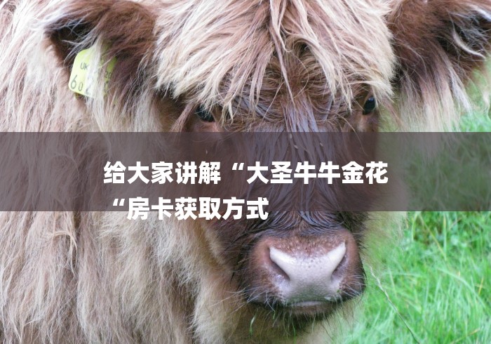 给大家讲解“大圣牛牛金花
“房卡获取方式