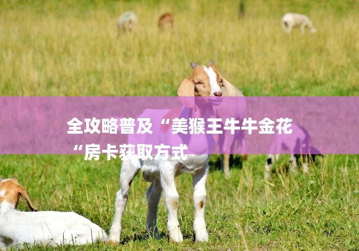 全攻略普及“美猴王牛牛金花
“房卡获取方式 全攻略普及“美猴王牛牛金花
“房卡获取方式