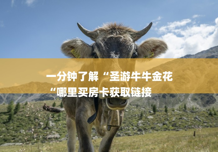 一分钟了解“圣游牛牛金花
“哪里买房卡获取链接