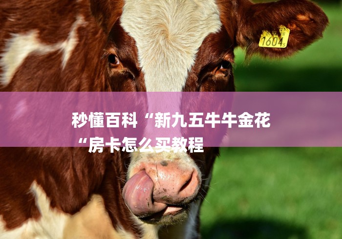 秒懂百科“新九五牛牛金花
“房卡怎么买教程