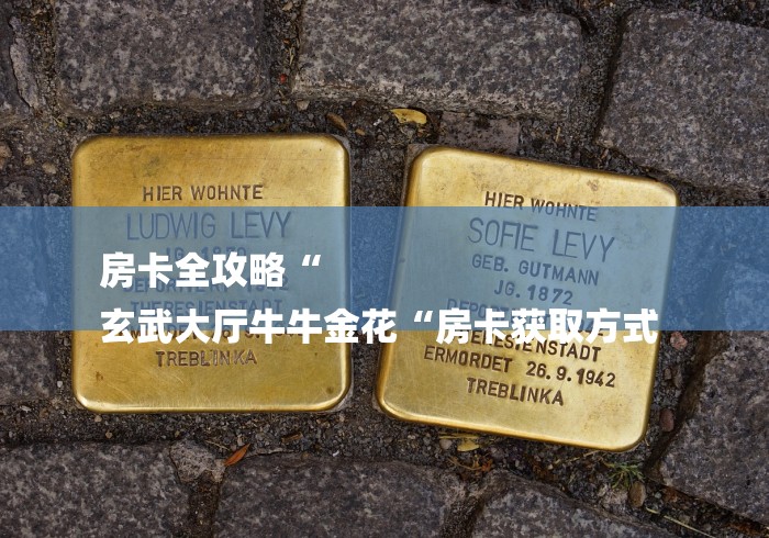 房卡全攻略“
玄武大厅牛牛金花“房卡获取方式 房卡全攻略“
玄武大厅牛牛金花“房卡获取方式