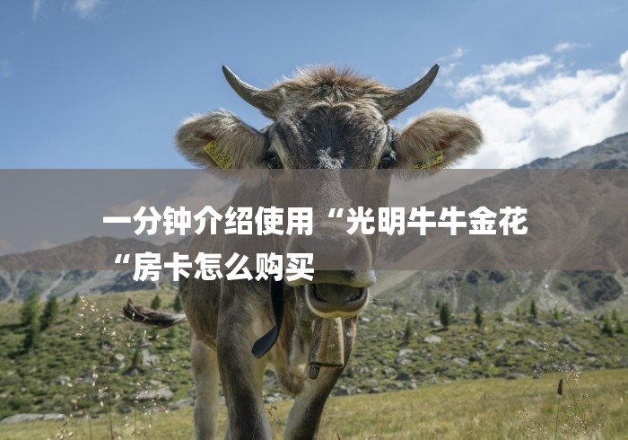 一分钟介绍使用“光明牛牛金花
“房卡怎么购买 一分钟介绍使用“光明牛牛金花
“房卡怎么购买