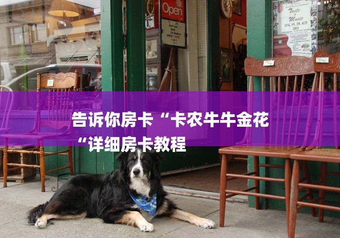 告诉你房卡“卡农牛牛金花
“详细房卡教程