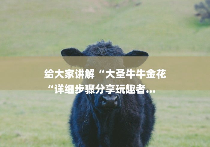 给大家讲解“大圣牛牛金花
“详细步骤分享玩趣者...