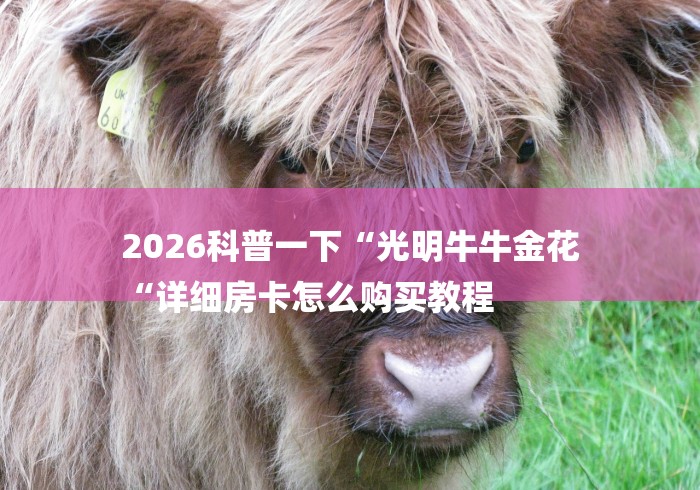 2026科普一下“光明牛牛金花
“详细房卡怎么购买教程