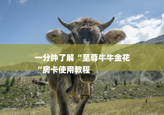 一分钟了解“至尊牛牛金花
“房卡使用教程 一分钟了解“至尊牛牛金花
“房卡使用教程