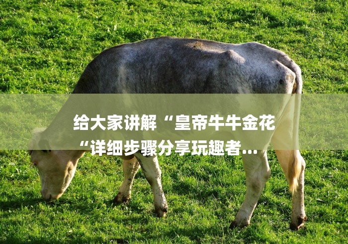 给大家讲解“皇帝牛牛金花
“详细步骤分享玩趣者... 给大家讲解“皇帝牛牛金花
“详细步骤分享玩趣者...