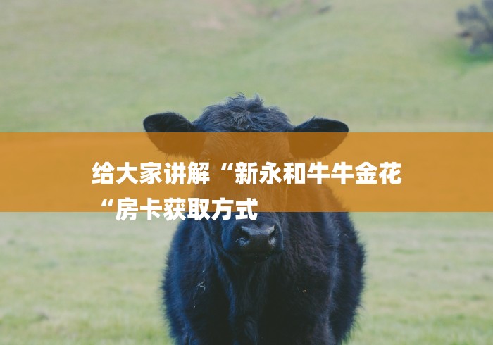 给大家讲解“新永和牛牛金花
“房卡获取方式