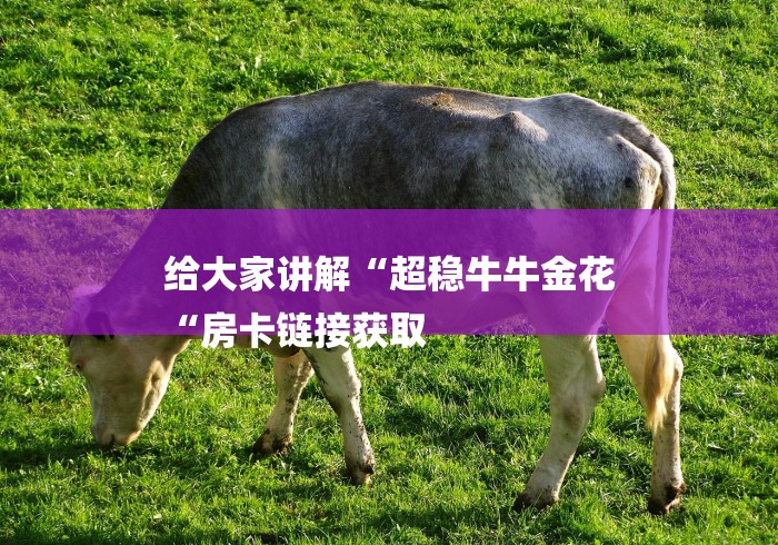 给大家讲解“超稳牛牛金花
“房卡链接获取