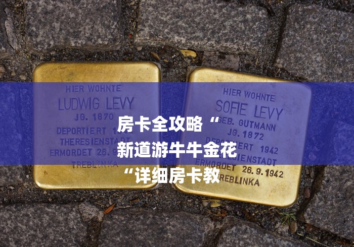 房卡全攻略“
新道游牛牛金花
“详细房卡教