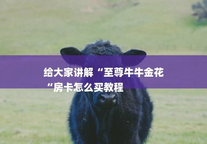 给大家讲解“至尊牛牛金花
“房卡怎么买教程