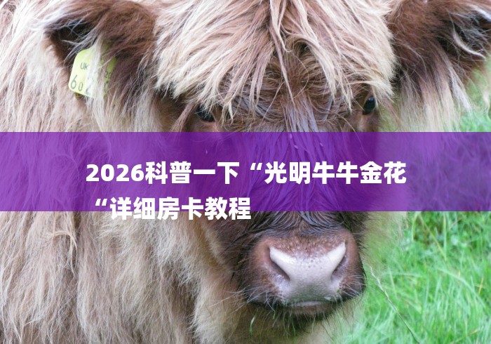 2026科普一下“光明牛牛金花
“详细房卡教程