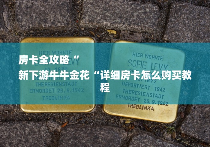 房卡全攻略“
新下游牛牛金花“详细房卡怎么购买教程