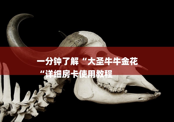 一分钟了解“大圣牛牛金花
“详细房卡使用教程