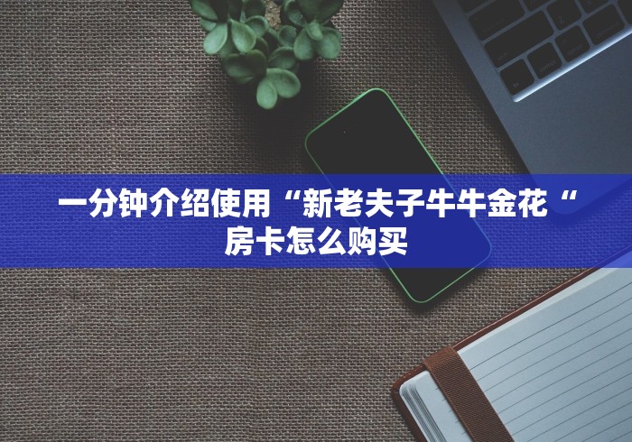 一分钟介绍使用“新老夫子牛牛金花“房卡怎么购买