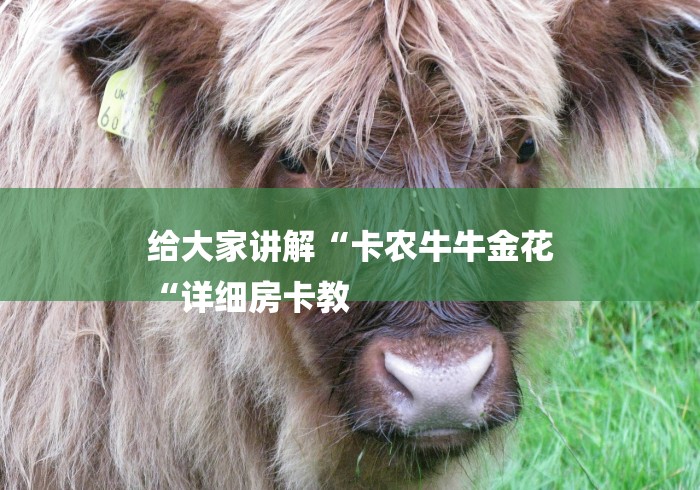 给大家讲解“卡农牛牛金花
“详细房卡教 给大家讲解“卡农牛牛金花
“详细房卡教