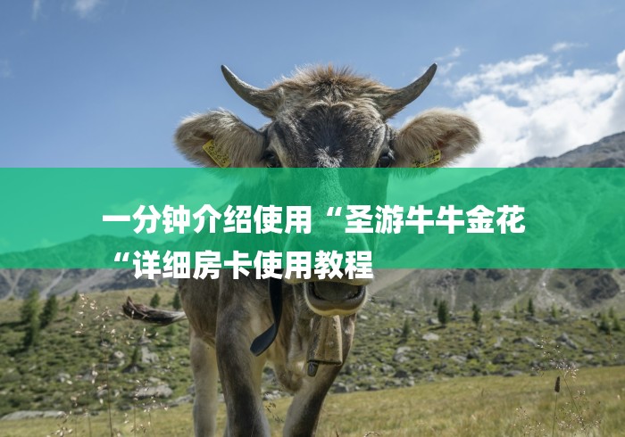 一分钟介绍使用“圣游牛牛金花
“详细房卡使用教程