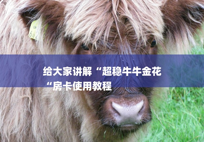 给大家讲解“超稳牛牛金花
“房卡使用教程