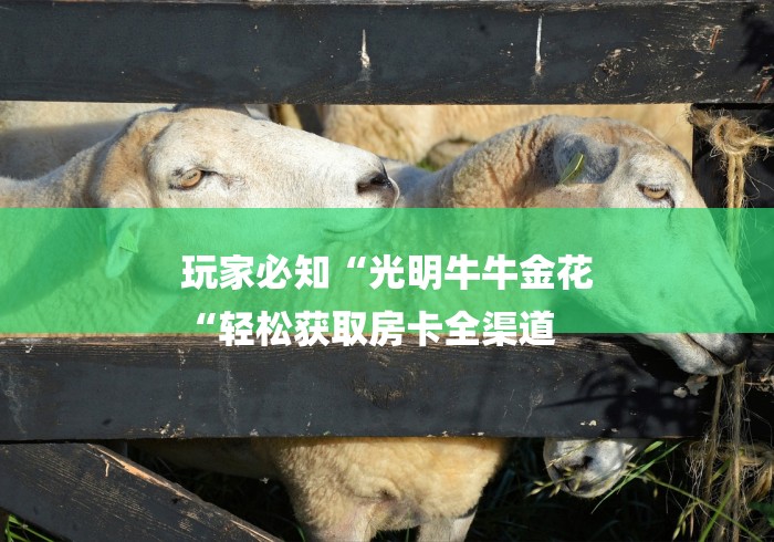 玩家必知“光明牛牛金花
“轻松获取房卡全渠道