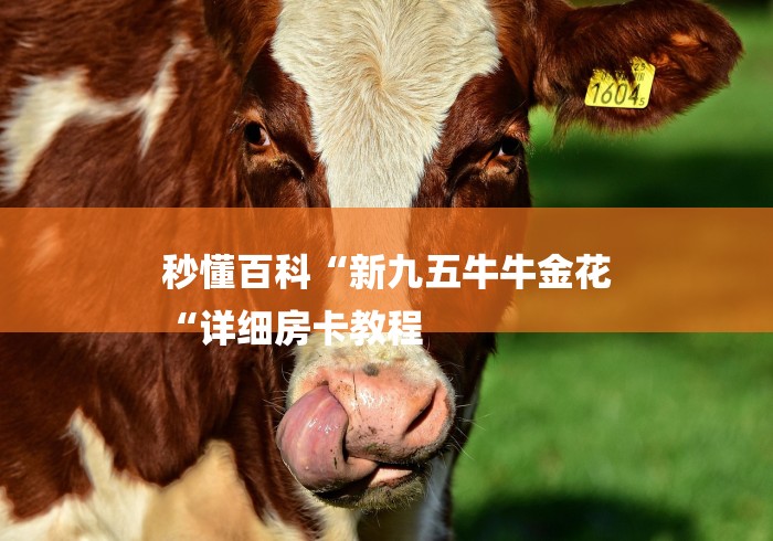 秒懂百科“新九五牛牛金花
“详细房卡教程