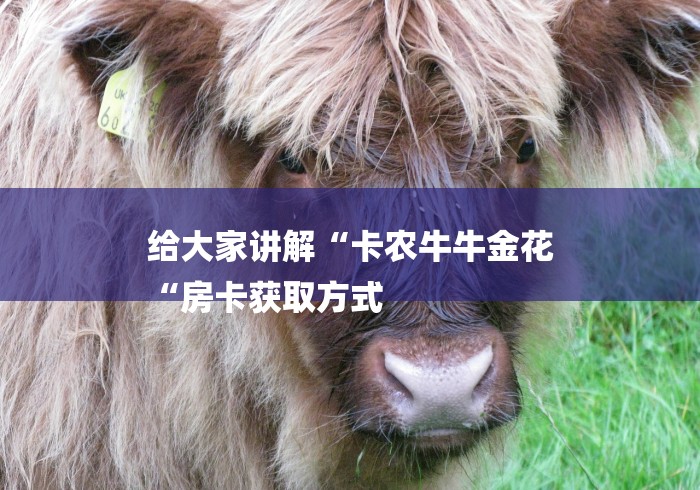 给大家讲解“卡农牛牛金花
“房卡获取方式