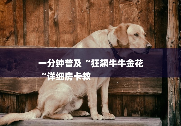 一分钟普及“狂飙牛牛金花
“详细房卡教