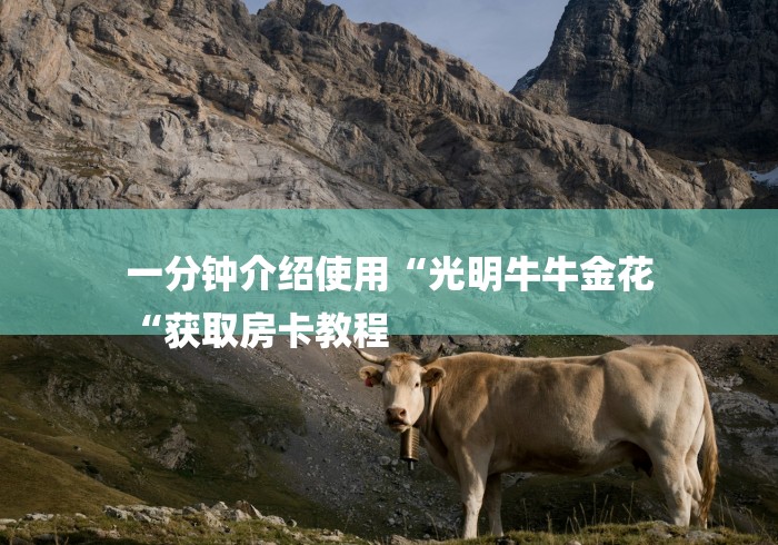 一分钟介绍使用“光明牛牛金花
“获取房卡教程