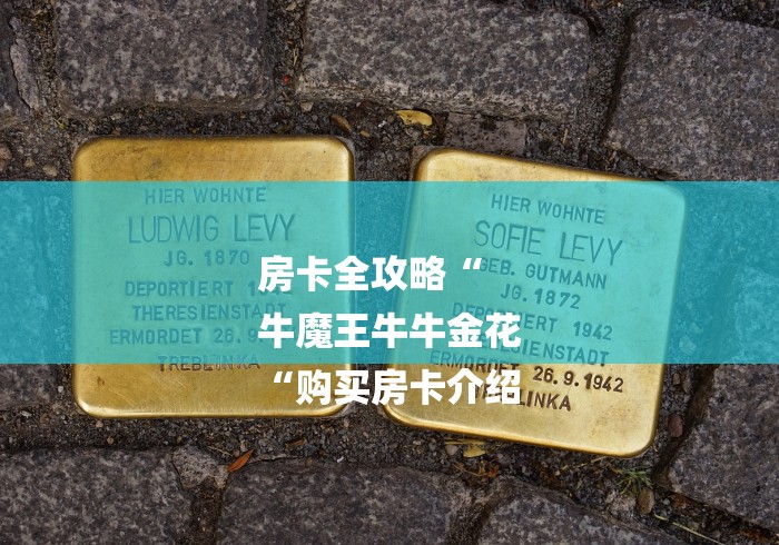 房卡全攻略“
牛魔王牛牛金花
“购买房卡介绍