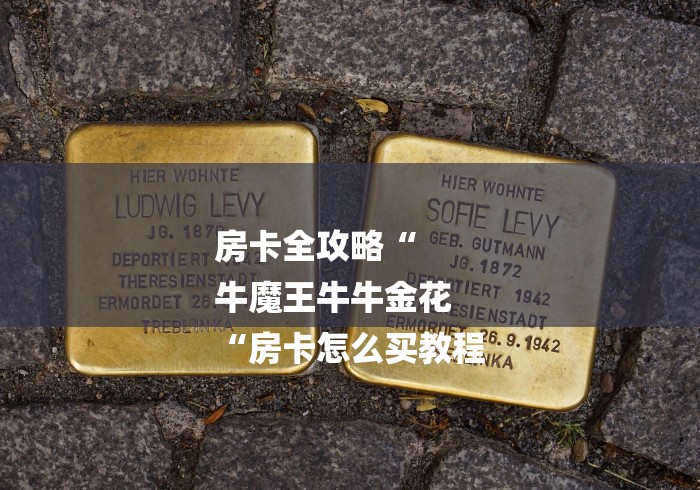 房卡全攻略“
牛魔王牛牛金花
“房卡怎么买教程