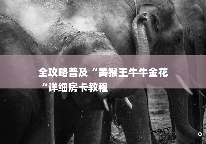 全攻略普及“美猴王牛牛金花
“详细房卡教程