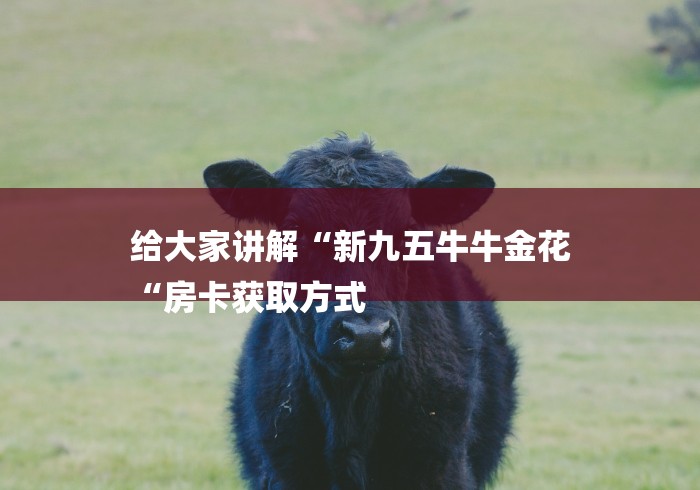 给大家讲解“新九五牛牛金花
“房卡获取方式