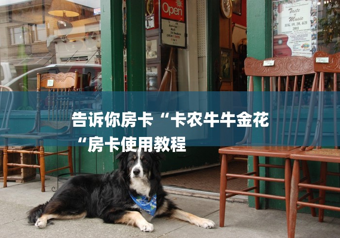 告诉你房卡“卡农牛牛金花
“房卡使用教程