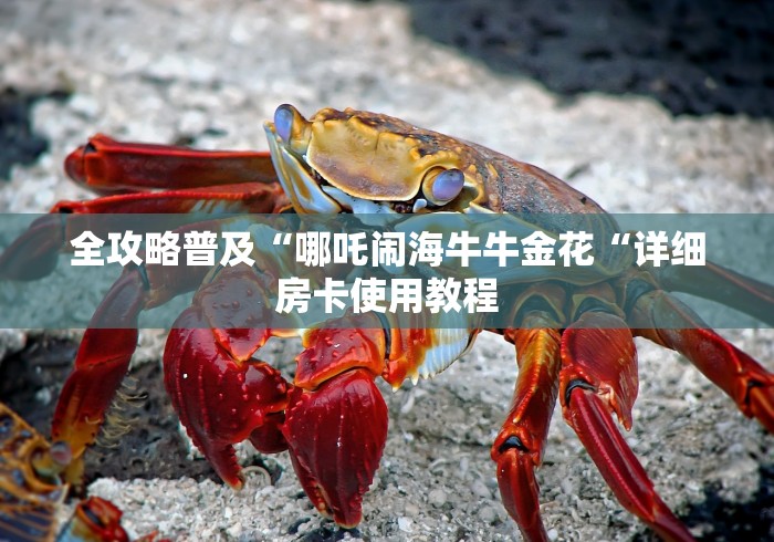 全攻略普及“哪吒闹海牛牛金花“详细房卡使用教程