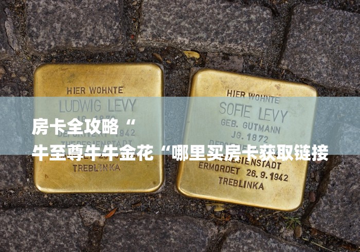 房卡全攻略“
牛至尊牛牛金花“哪里买房卡获取链接