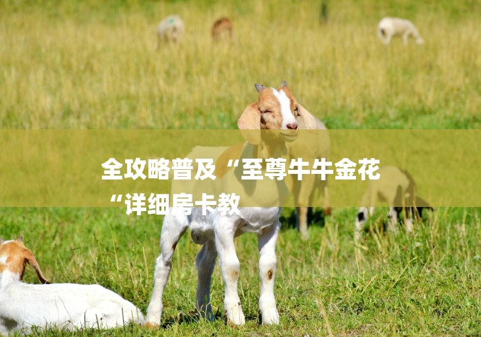 全攻略普及“至尊牛牛金花
“详细房卡教 全攻略普及“至尊牛牛金花
“详细房卡教