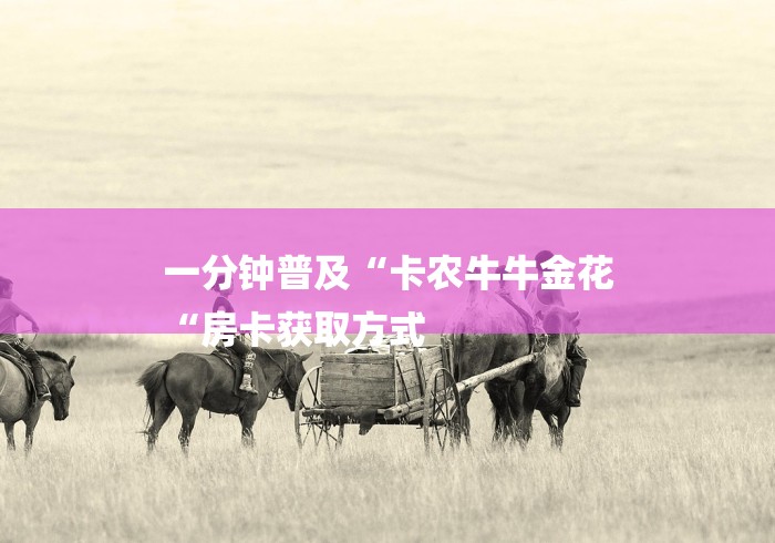 一分钟普及“卡农牛牛金花
“房卡获取方式