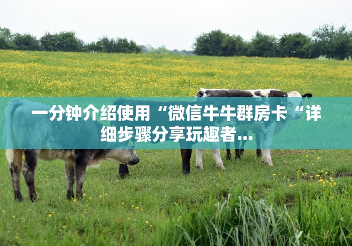 一分钟介绍使用“微信牛牛群房卡“详细步骤分享玩趣者... 一分钟介绍使用“微信牛牛群房卡“详细步骤分享玩趣者...