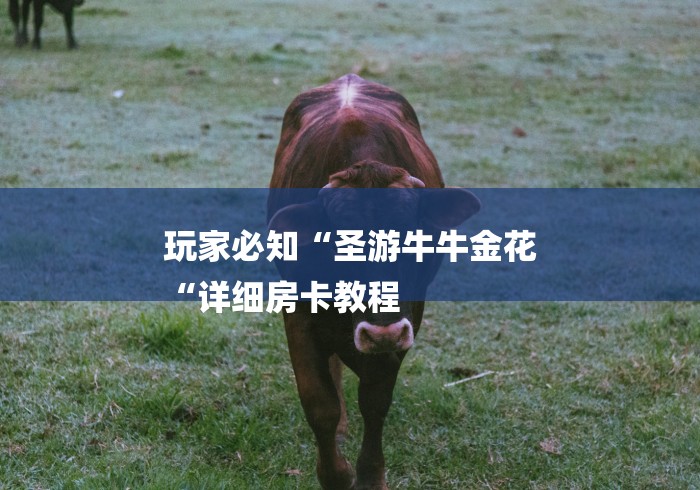 玩家必知“圣游牛牛金花
“详细房卡教程 玩家必知“圣游牛牛金花
“详细房卡教程