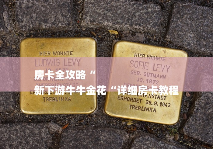 房卡全攻略“
新下游牛牛金花“详细房卡教程 房卡全攻略“
新下游牛牛金花“详细房卡教程