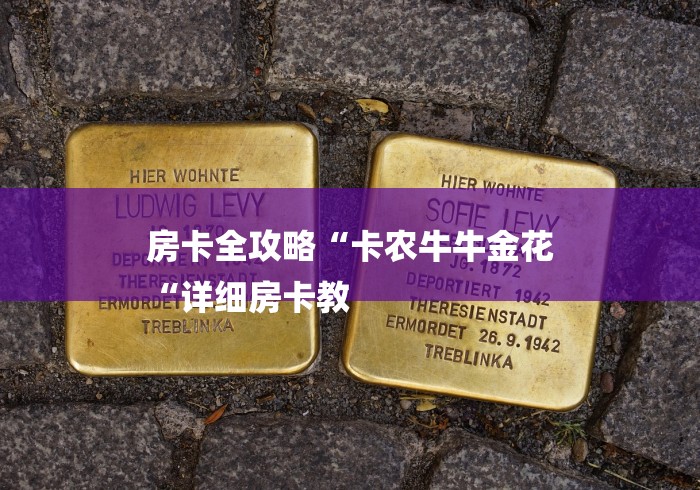 房卡全攻略“卡农牛牛金花
“详细房卡教 房卡全攻略“卡农牛牛金花
“详细房卡教