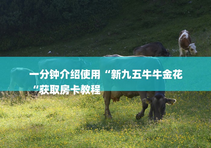 一分钟介绍使用“新九五牛牛金花
“获取房卡教程