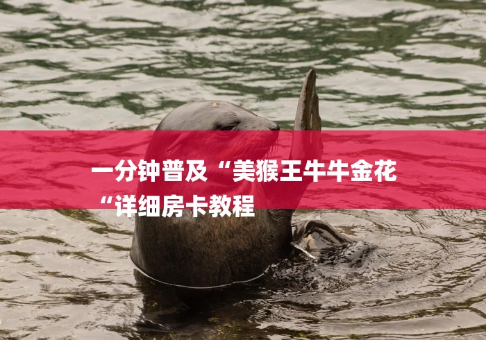 一分钟普及“美猴王牛牛金花
“详细房卡教程 一分钟普及“美猴王牛牛金花
“详细房卡教程