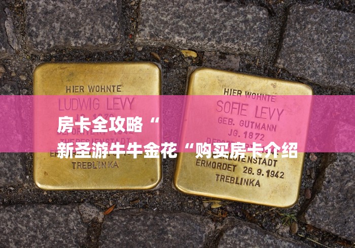 房卡全攻略“
新圣游牛牛金花“购买房卡介绍 房卡全攻略“
新圣游牛牛金花“购买房卡介绍