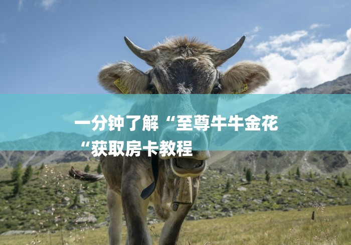 一分钟了解“至尊牛牛金花
“获取房卡教程 一分钟了解“至尊牛牛金花
“获取房卡教程